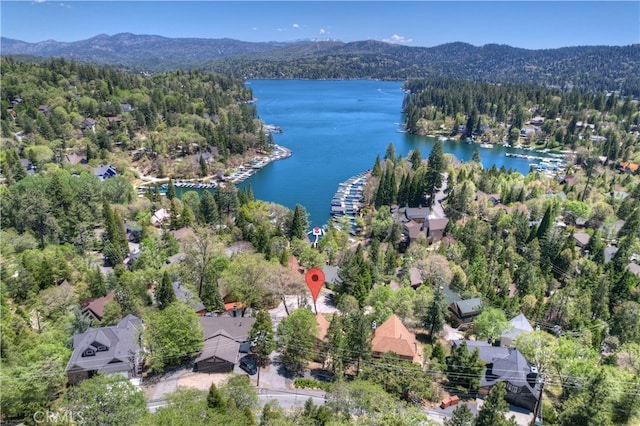 27559 N Bay, Lake Arrowhead, CA 92352 - aerial overview of property's location with a water and mountain view and a forest