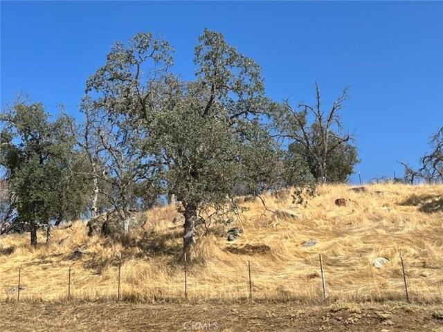 33188 George Smith Rd, Squaw Valley, CA 93675 - photo 39