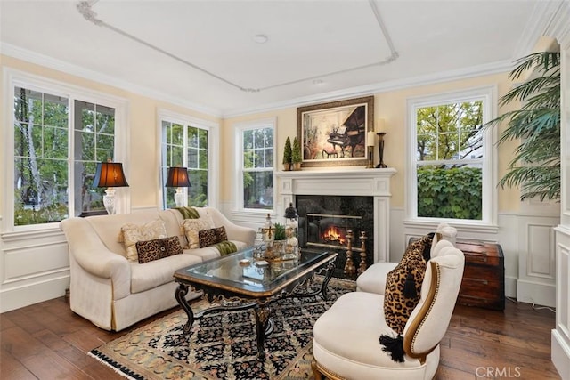 3 Blue Spruce Dr, Ladera Ranch, CA 92694 - living area featuring a premium fireplace, dark wood-type flooring, crown molding, a decorative wall, and wainscoting