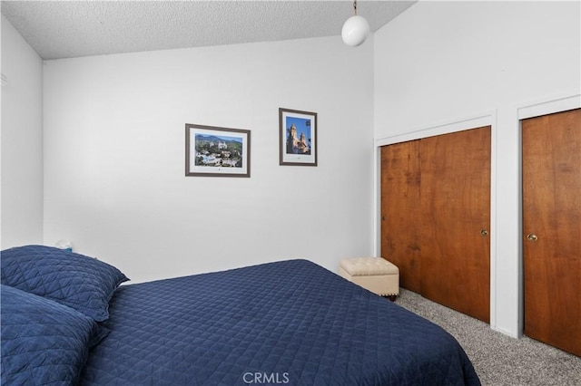 1983 Cirlce Dr, Cayucos, CA 93430 - bedroom featuring carpet floors, multiple closets, and a textured ceiling