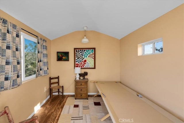 4171 Hughes Ln, Landers, CA 92285 - home office featuring vaulted ceiling, wood finished floors, and baseboards