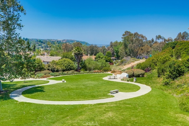 7411 Brava St, Carlsbad, CA 92009 - surrounding community featuring a yard