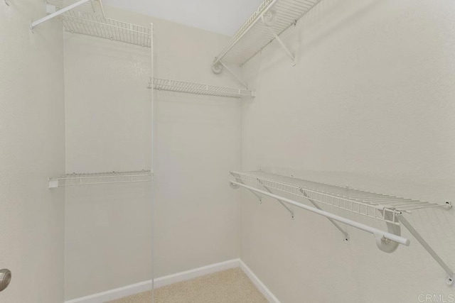 32175 Via Flore, Temecula, CA 92592 - walk in closet featuring carpet floors