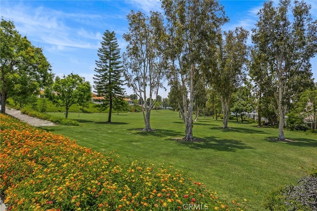 28406 Buena Vis, Mission Viejo, CA 92692 - photo 38
