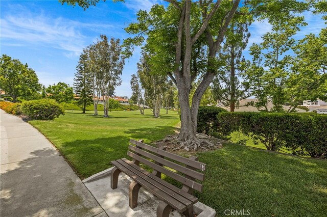 28406 Buena Vis, Mission Viejo, CA 92692 - photo 39