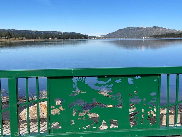 889 Mcalister Rd, Big Bear, CA 92314 - photo 27