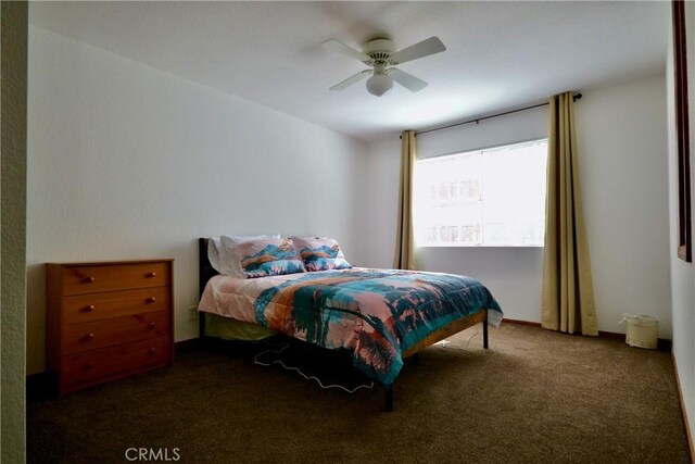 889 Mcalister Rd, Big Bear, CA 92314 - photo 11