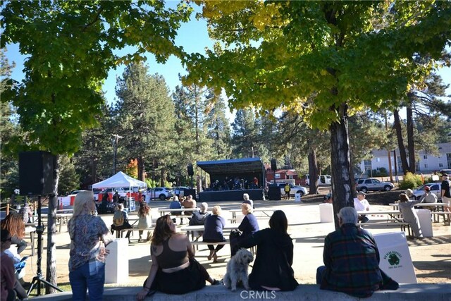 889 Mcalister Rd, Big Bear, CA 92314 - photo 22