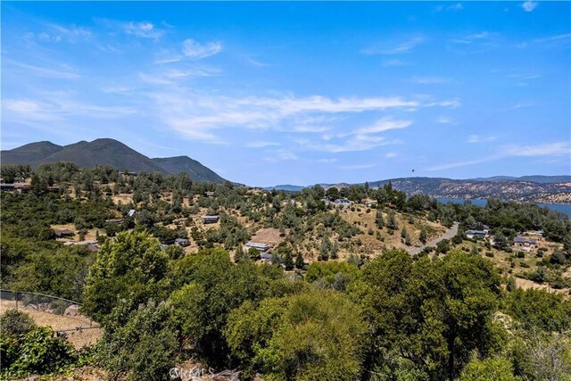 10880 Terrace Way, Kelseyville, CA 95451 - photo 36