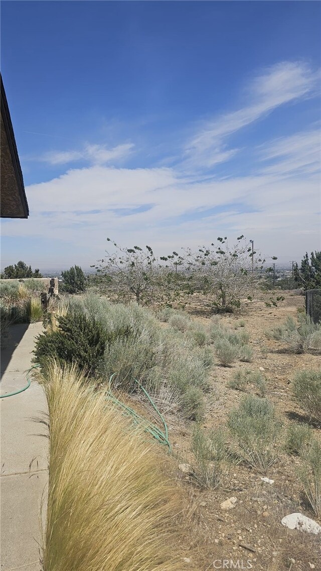 2910 Silver Ridge Dr, Pinon Hills, CA 92372 - photo 9