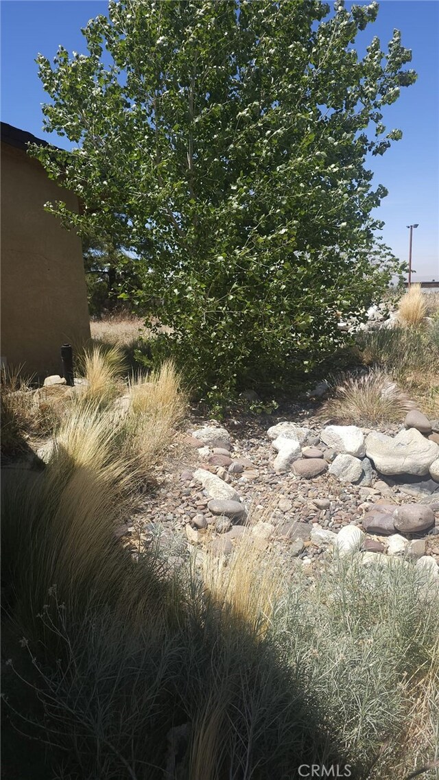 2910 Silver Ridge Dr, Pinon Hills, CA 92372 - photo 30