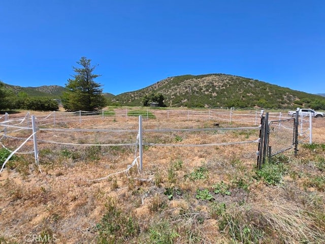 36255 Grapevine Canyon Rd, Ranchita, CA 92066 - view of yard featuring a mountain view, a view of countryside, and a gate