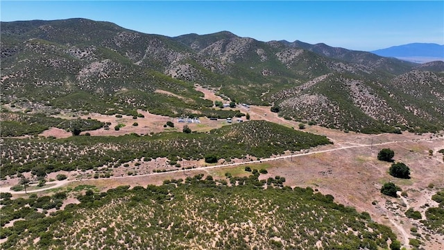 36255 Grapevine Canyon Rd, Ranchita, CA 92066 - view of mountain backdrop
