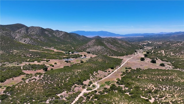 36255 Grapevine Canyon Rd, Ranchita, CA 92066 - view of mountain backdrop