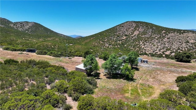 36255 Grapevine Canyon Rd, Ranchita, CA 92066 - mountain view
