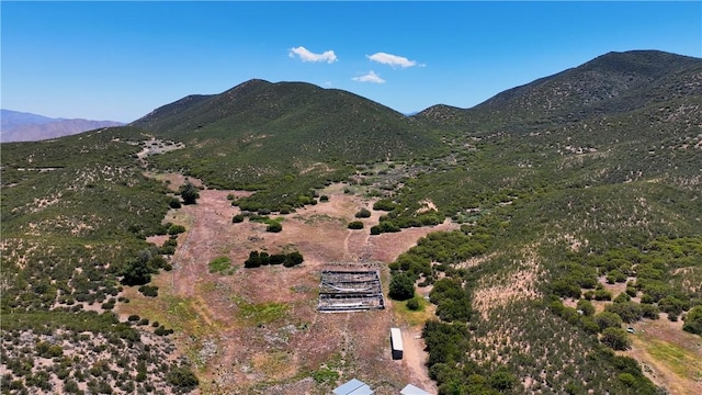 36255 Grapevine Canyon Rd, Ranchita, CA 92066 - view of mountain background