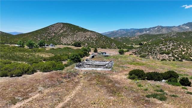 36255 Grapevine Canyon Rd, Ranchita, CA 92066 - view of mountain backdrop