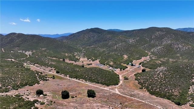 36255 Grapevine Canyon Rd, Ranchita, CA 92066 - view of mountain background