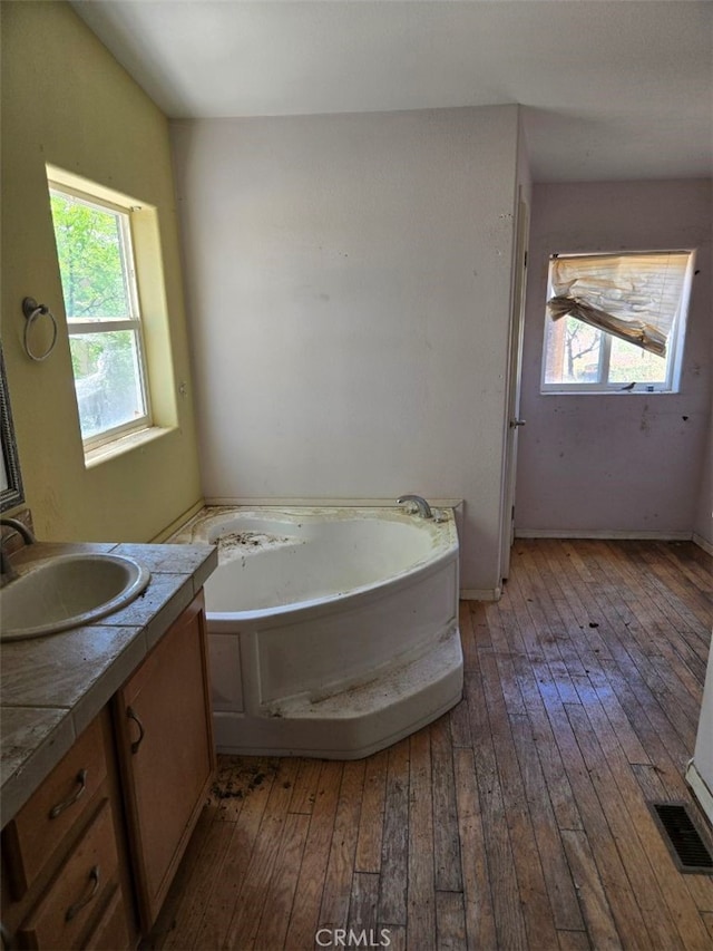36255 Grapevine Canyon Rd, Ranchita, CA 92066 - bathroom with hardwood / wood-style flooring, vanity, a garden tub, and healthy amount of natural light