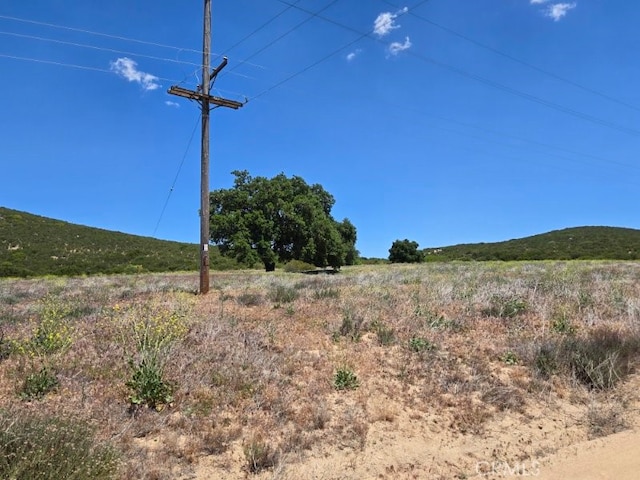 36255 Grapevine Canyon Rd, Ranchita, CA 92066 - view of yard