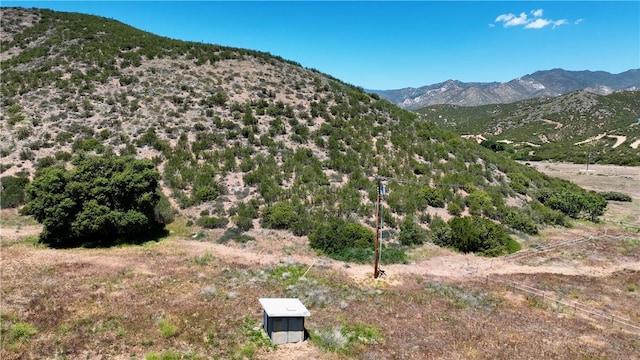 36255 Grapevine Canyon Rd, Ranchita, CA 92066 - view of mountain background
