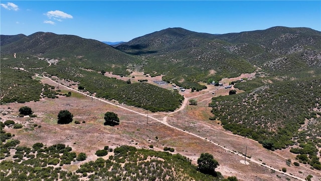 36255 Grapevine Canyon Rd, Ranchita, CA 92066 - mountain view