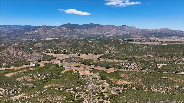 36255 Grapevine Canyon Rd, Ranchita, CA 92066 - view of mountain backdrop