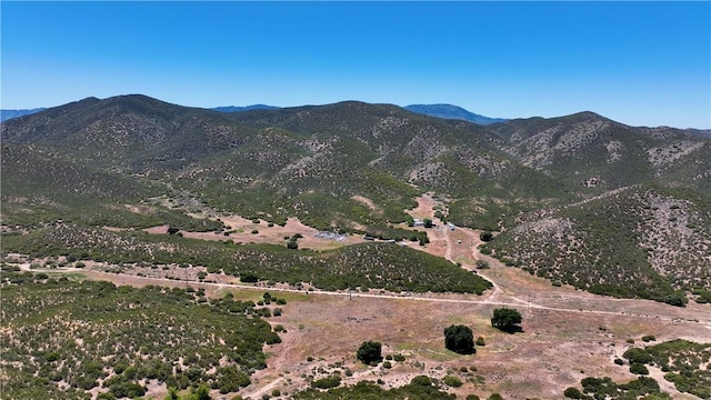 36255 Grapevine Canyon Rd, Ranchita, CA 92066 - view of mountain background
