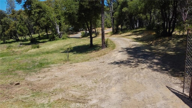 5093 Worman Rd, Ahwahnee, CA 93601 - photo 5