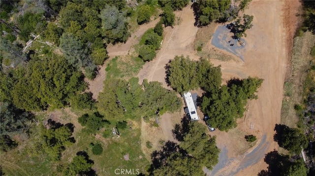 5093 Worman Rd, Ahwahnee, CA 93601 - photo 9