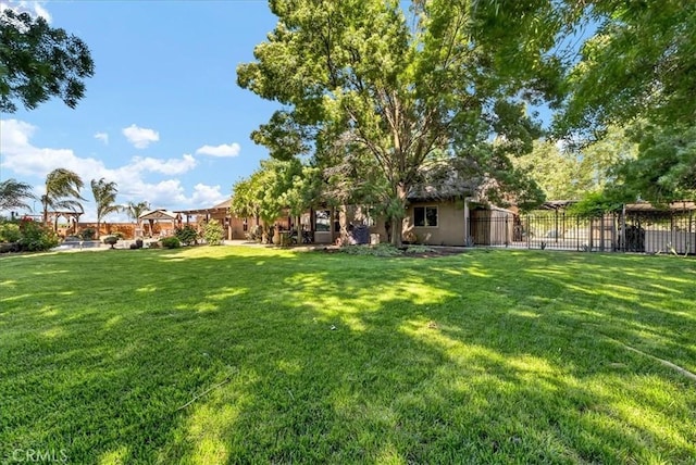17276 Iona Ave, Lemoore, CA 93245 - view of yard