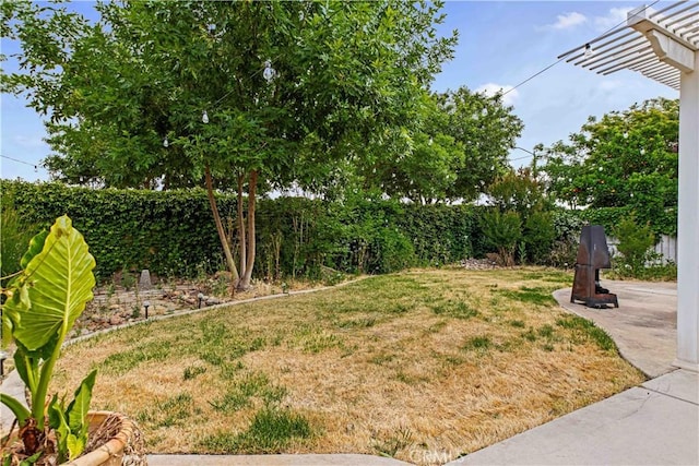 1457 Quiet Ct, Merced, CA 95340 - view of grassy yard