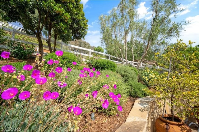 5558 Hoback Glen Rd, Hidden Hills, CA 91302 - view of yard