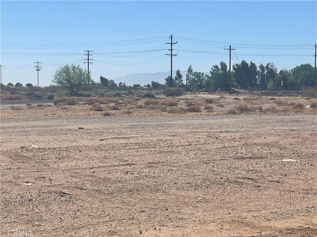 11252 Cactus Rd, Adelanto, CA 92301 - view of yard