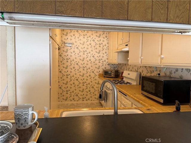9025 Willis Ave Unit 141, Panorama City, CA 91402 - kitchen with black microwave, under cabinet range hood, a sink, and light countertops