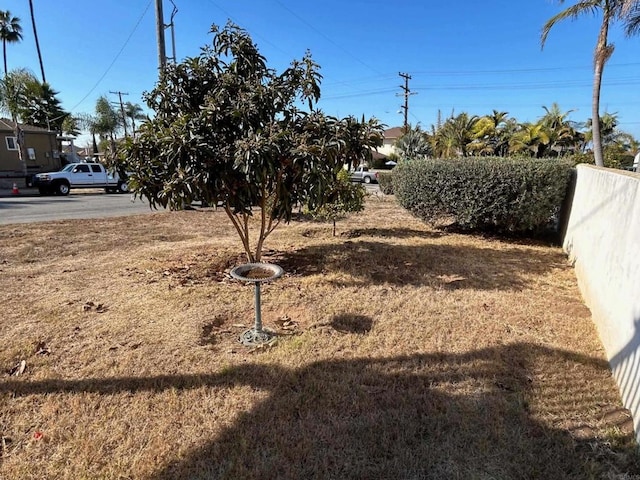 4520 Orten St, San Diego, CA 92110 - view of yard