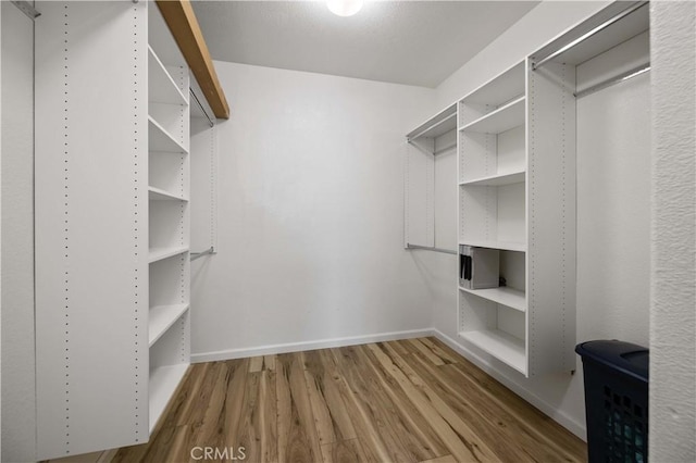 walk in closet featuring wood finished floors