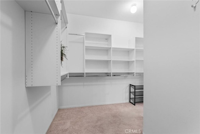 1444 Upland Hills Dr N, Upland, CA 91784 - spacious closet with carpet