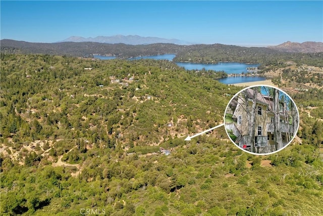 29613 Hook Creek Rd, Cedar Glen, CA 92321 - view of property location with a forest, a water and mountain view, and property boundaries highlighted
