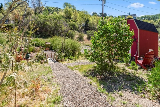 29613 Hook Creek Rd, Cedar Glen, CA 92321 - view of yard