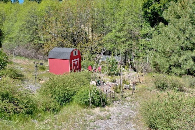 29613 Hook Creek Rd, Cedar Glen, CA 92321 - view of yard with a wooded view