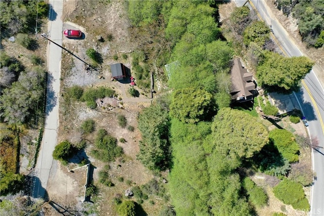 29613 Hook Creek Rd, Cedar Glen, CA 92321 - aerial view of property's location
