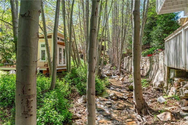 29613 Hook Creek Rd, Cedar Glen, CA 92321 - view of yard featuring french doors
