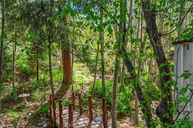 29613 Hook Creek Rd, Cedar Glen, CA 92321 - view of nature