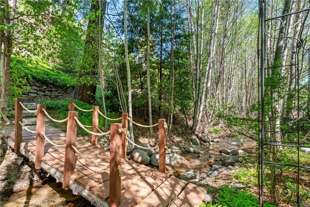 29613 Hook Creek Rd, Cedar Glen, CA 92321 - view of local wilderness