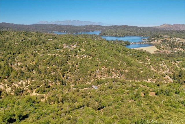 29613 Hook Creek Rd, Cedar Glen, CA 92321 - view of mountain background with a large body of water and a forest