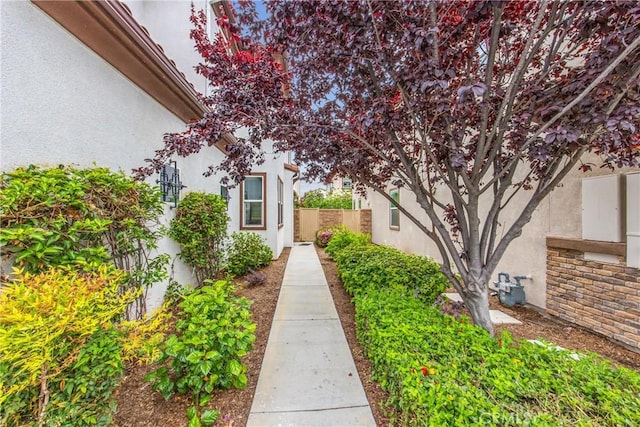 1438 Madrid Dr, Pomona, CA 91766 - view of yard