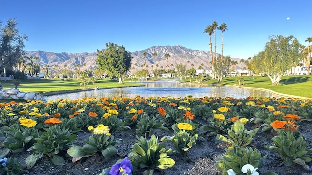 69411 Ramon Rd, Cathedral City, CA 92234