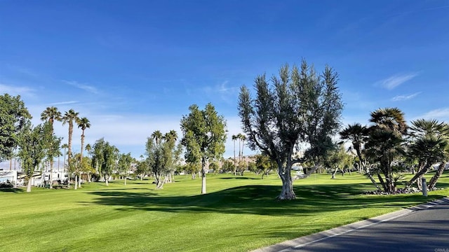 69411 Ramon Rd, Cathedral City, CA 92234