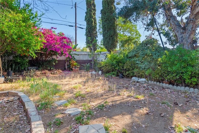 946 W 9th St, Corona, CA 92882 - view of yard